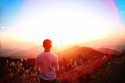 Rear view of woman on landscape at sunset