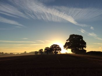 Silhouette of trees on field against cloudy sky