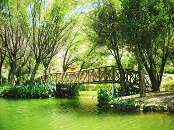 Bridge over river against trees