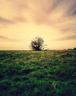 Scenic view of landscape against cloudy sky