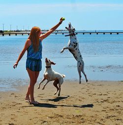 Full length of woman standing on beach