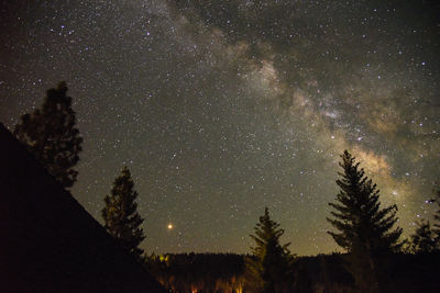 Milkyway galaxy shot from a forest at night