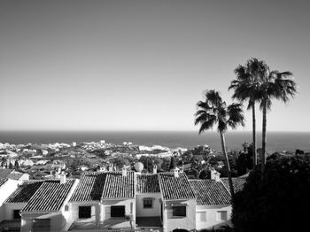 Palm trees by sea against clear sky