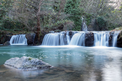 Scenic view of waterfall in forest