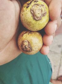 High angle view of person holding fruit