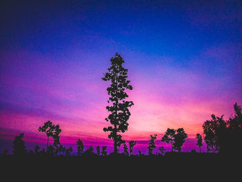 Silhouette trees on field against sky at sunset