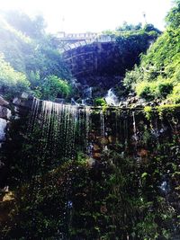 Scenic view of waterfall