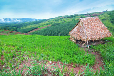 Scenic view of field against sky