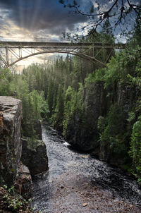 Scenic view of waterfall in forest against sky