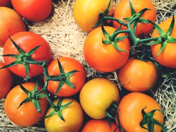 High angle view of tomatoes on table