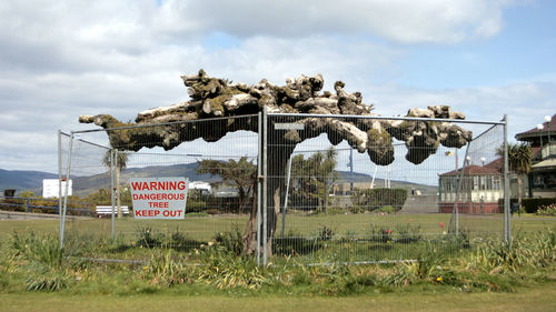 Bizarre tree amidst fence with warning sign