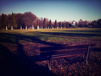 Trees on field against clear sky