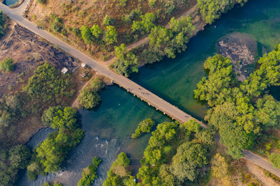 High angle view of river amidst trees