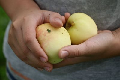 Close-up of person holding apple