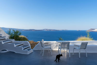 Isolated black cat and four white chairs with white table on a white terrace. oia, santorini