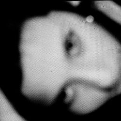 Close-up of an animal