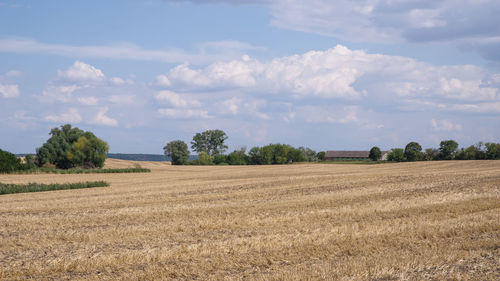 Scenic view of agricultural field against sky