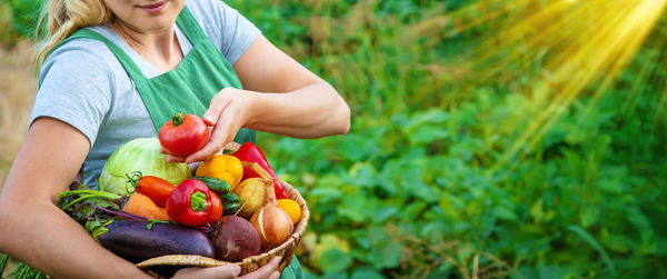 Midsection of woman holding fruit