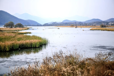 Scenic view of lake against clear sky