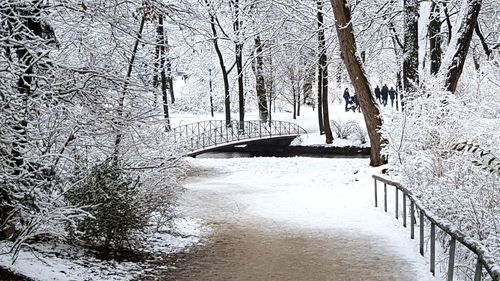 Snow covered footbridge in forest against sky