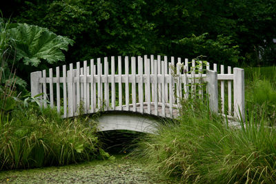 Boardwalk amidst trees on field