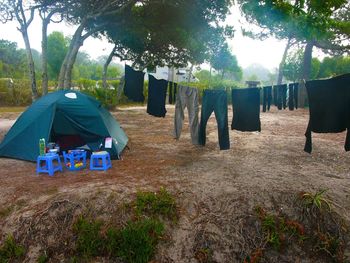 Empty road along trees