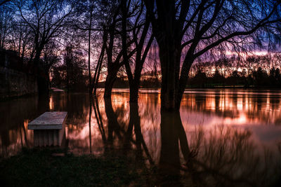 Bare trees by lake against sky at night