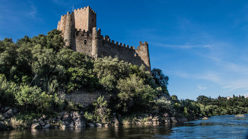 Lake against castle amidst trees in sunny day