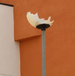 Low angle view of a bird on wall