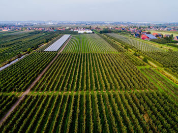 High angle view of agricultural field against sky