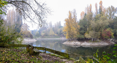 Scenic view of lake in forest against sky during autumn