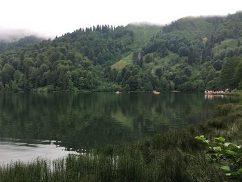 Scenic view of lake by trees against sky