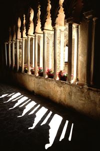 architectural column