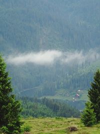 Scenic view of landscape