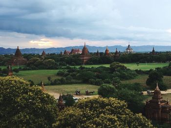 Trees in garden against cloudy sky
