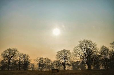 Bare trees against sky at sunset