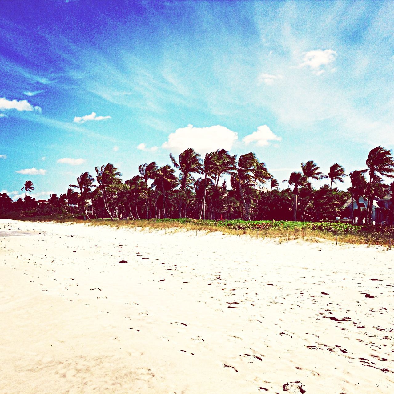 Naples Beach