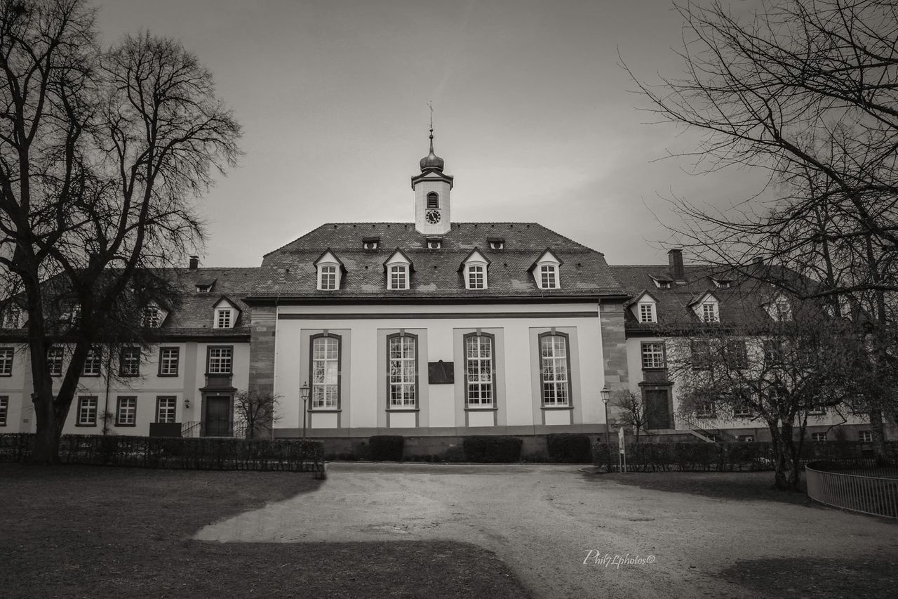 building exterior, architecture, built structure, church, religion, tree, bare tree, sky, place of worship, spirituality, cross, street light, street, facade, dome, outdoors, branch, day