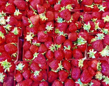 Full frame shot of strawberries