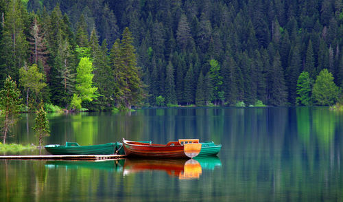 Boat moored in lake against trees in forest