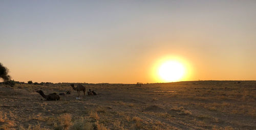 Horses on landscape against clear sky during sunset