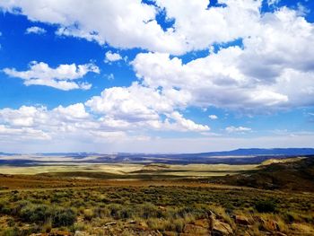 Scenic view of field against sky