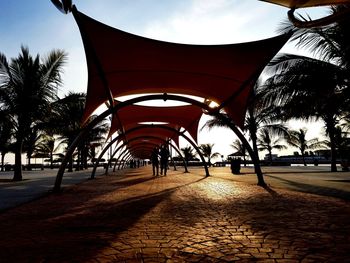 View of palm trees in park