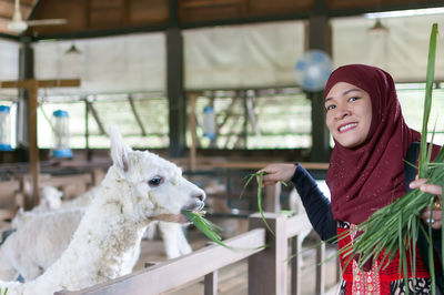 Woman feeding grass to lllama at stable