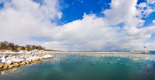 Lakeside harbour in winter