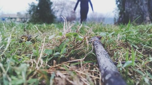 Person standing on grassy field