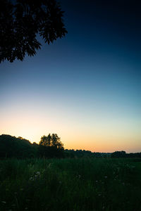 Silhouette trees on field against sky during sunset