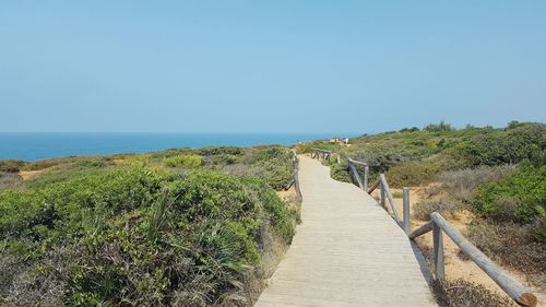 Scenic view of boardwalk against clear sky
