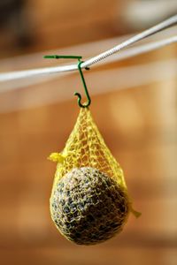 Close-up of decoration hanging