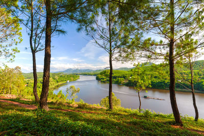 Scenic view of lake by trees against sky